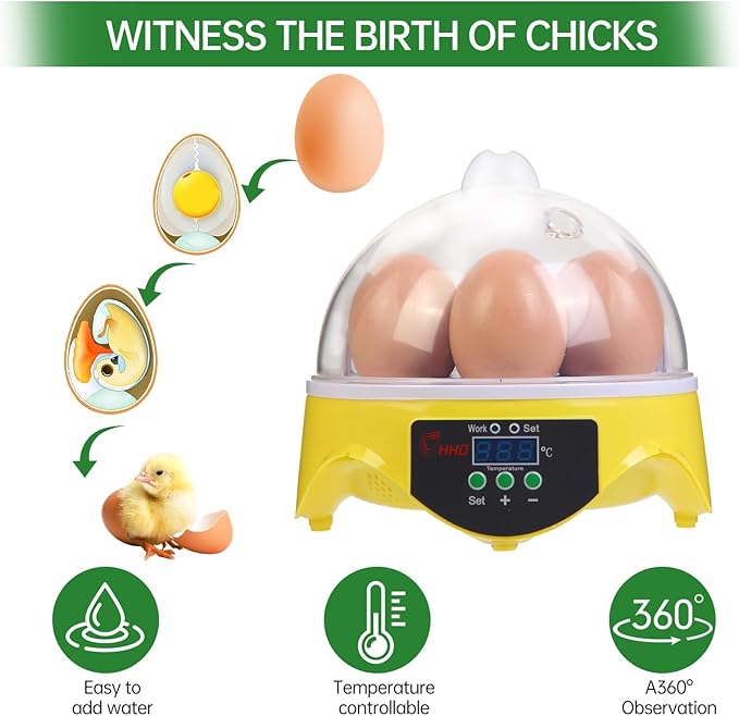 7-Egg Mini Egg Incubator with 360° View, Educational Hatching Kit for Kids, Classrooms & Families, Automatic Temperature Control & Manual Humidity Control, Suitable for Chicken, Duck & Quail Eggs