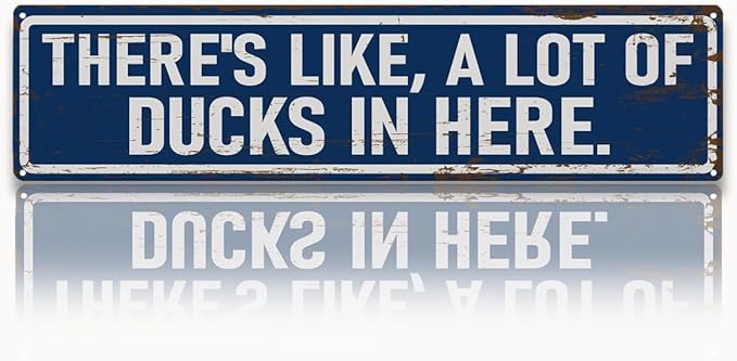 Rustic Farmhouse Style Duck Coop Sign, Metal Outdoor Ducks House Signs, There's like a lot of Ducks in here, Retro Metal Tin Sign, Farmhouse Decor, Backyard Duck House Gift 15.8x4 Inch