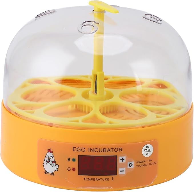 6 Egg Incubator Automatic Temperature Humidity Control Poultry Hatcher Egg Hatching Machine for Chicken Duck Quail Eggs with Visual Window Compact Design (US Plug 110‑220V)