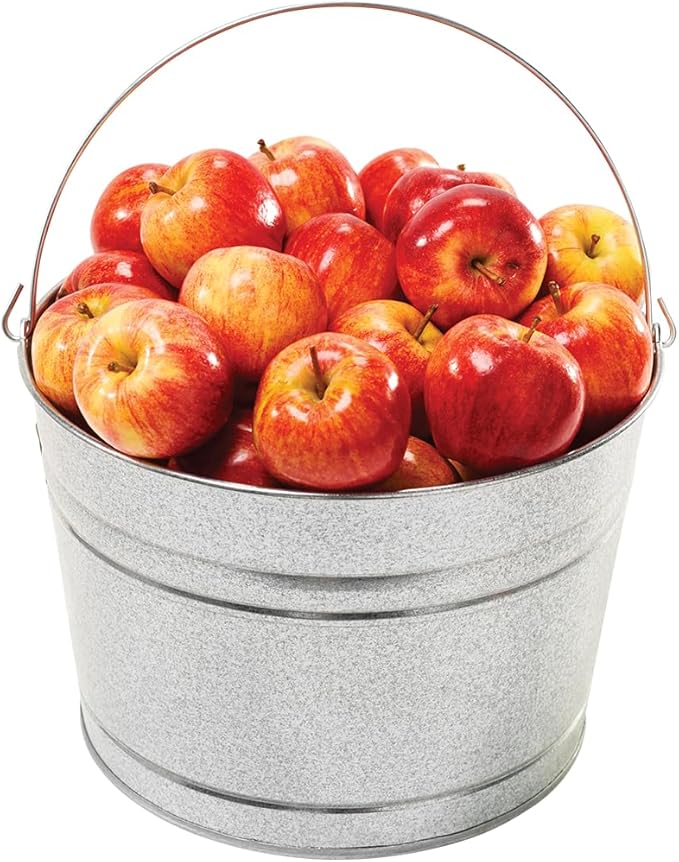 Behrens 4.25 Gallon Galvanized Steel Pail (1 Pail)