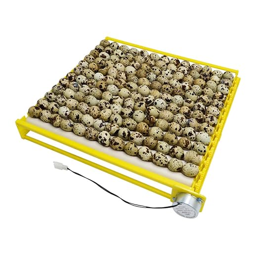 HBtree Automatic Multifunction Incubator Egg Tray Turning Hatcher for Chickens/Ducks/Birds/Poultry（13 Tubes）