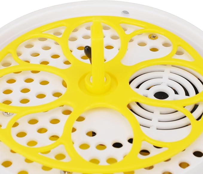 Fdit Mini Egg Incubator with Automatic Temperature Humidity Control, Transparent Lid, Multifunctional Hatching for Chickens Ducks Pigeons, Compact and Portable (Manual Turning)