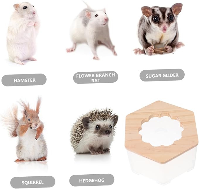 Adorable Hamster Bathroom Toilet Multi Functional Sand Bath Container for Animals Easy to Clean Versatile Usage Transparent Design for Hamsters and Gerbils
