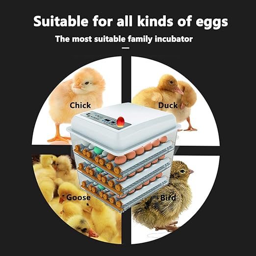 JAEDO Automatic Egg Incubator 150~180 Egg Incubator Digital Automatic Hatcher with Egg Turning for Chickens Ducks Goose Birds