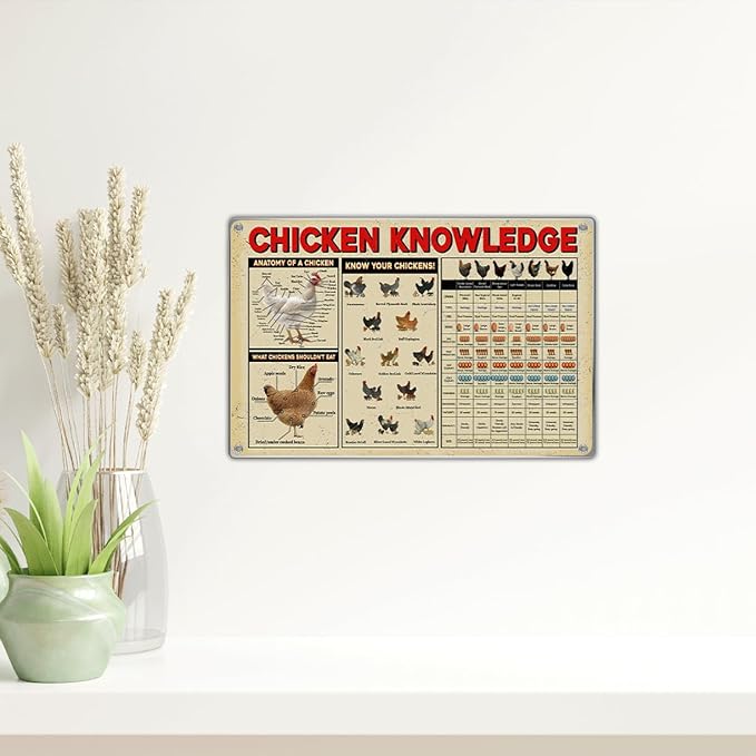 Chicken Knowledge Educational Metal Sign 12 x 8 Inch Wall Decor Chart With Anatomy Breeds And Feeding Guide For Farmhouse Kitchen Garage Coop Indoor Aluminum