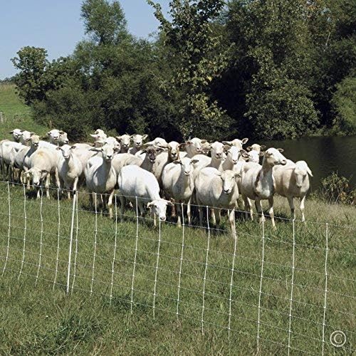Premier 1 ElectroNet® 35"H x 164'L Portable Electric Fence with Built-in Single Spike Posts | White/Black Fence for Sheep & Goats