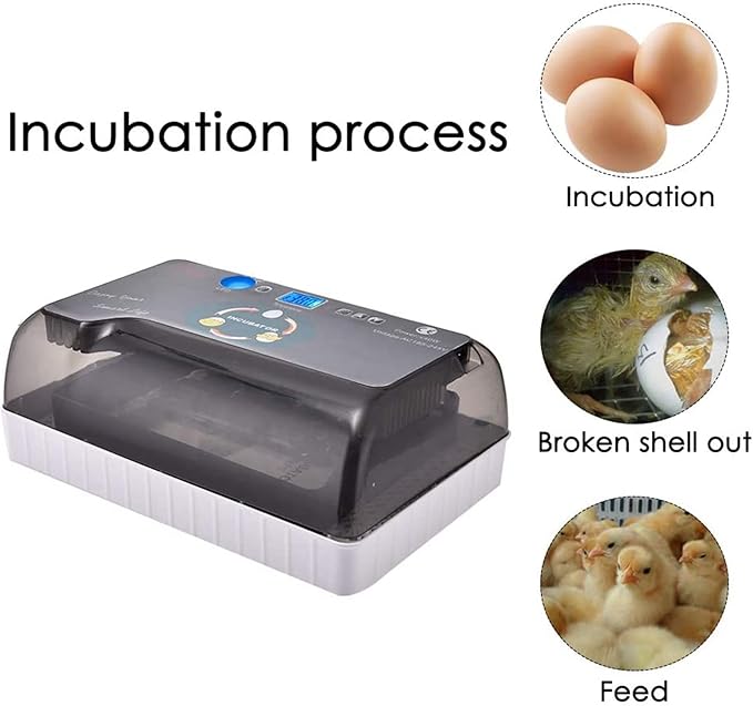 Automatic Egg Incubator, 12Eggs Electronic Poultry Hatcher with Digital LED Display Temperature Control Auto Egg Turning Turner (12 Eggs)