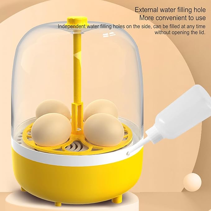 4 Eggs Incubator, Automatic Temperature and Humidity Control Eggs Hatching Incubator, Visual Low Noise Energy Saving USB Mini Poultry Hatcher for Eggs, Pigeon Eggs, Quail Eggs