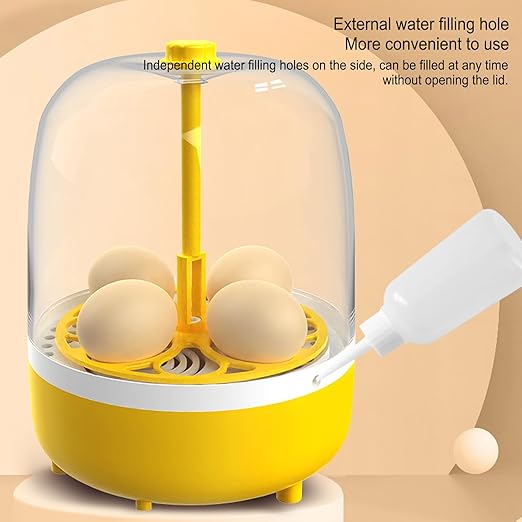 4 Eggs Incubator, Automatic Temperature and Humidity Control Eggs Hatching Incubator, Visual Low Noise Energy Saving USB Mini Poultry Hatcher for Eggs, Pigeon Eggs, Quail Eggs