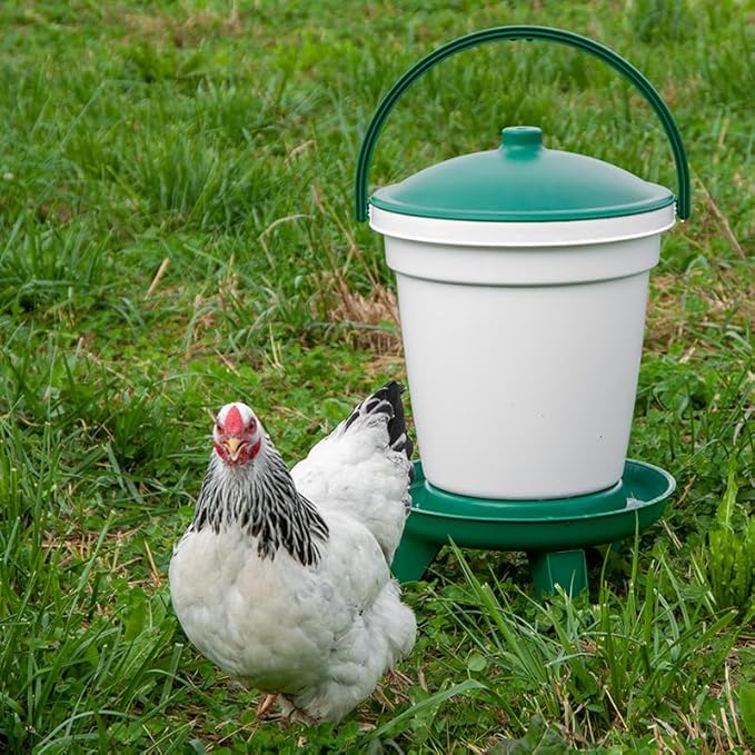 Premier 1 Quick Clean Bucket Waterer for Chickens & Poultry - 5 Gallon (White, Green, No Legs)