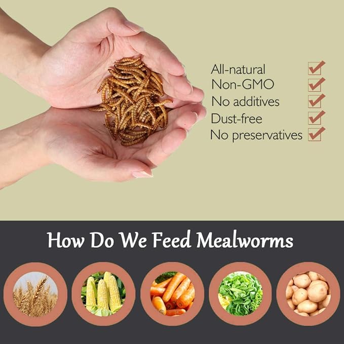 Non-GMO Dried Mealworms 22LB,100% Natural Large Size No Moisture,Treats for Birds Chickens Hedgehog Hamster Fish Reptile Turtles