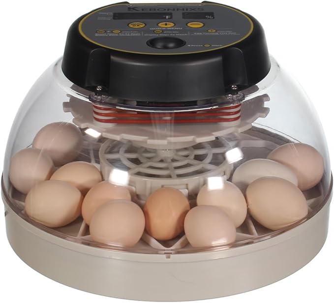 Egg Trays for Kebonnixs Egg Incubator (Various Sizes) (Medium (Bantam Chicken))