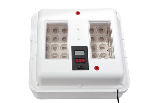 Little Giant® Digital Circulated Air Incubator with Automatic Turner | 41 Egg Capacity | Chick Egg Hatching Incubator with Fan and Egg Turner | Made in USA