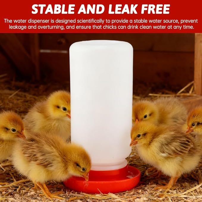 Chick Feeder and Waterer Kit,3×12-Hole Trough Feeders and 1 Low-Spill Chicks Waterer,Baby Chick Starter Kit for Small Poultry