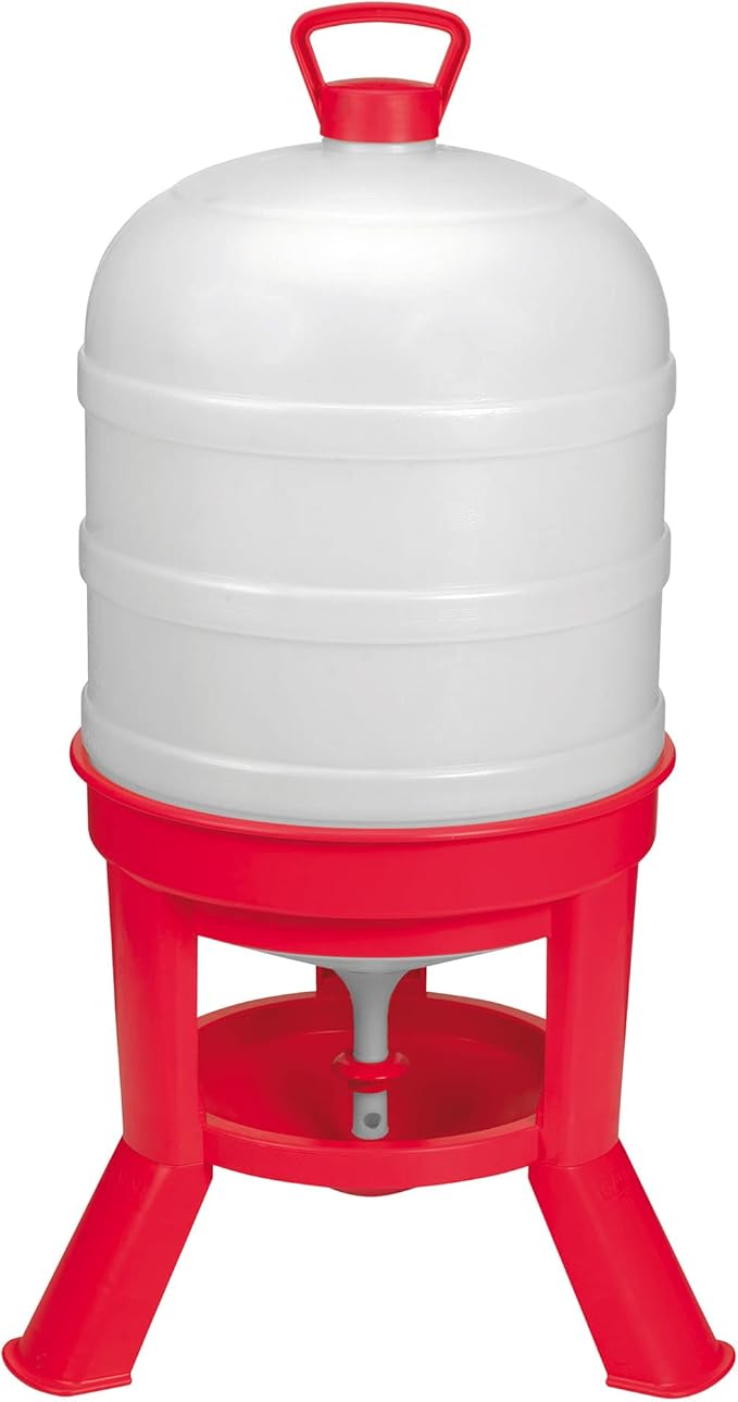 Little Giant 10 Gallon Tank Heavy Duty Poultry Chicken Gravity Waterer (2 Pack)