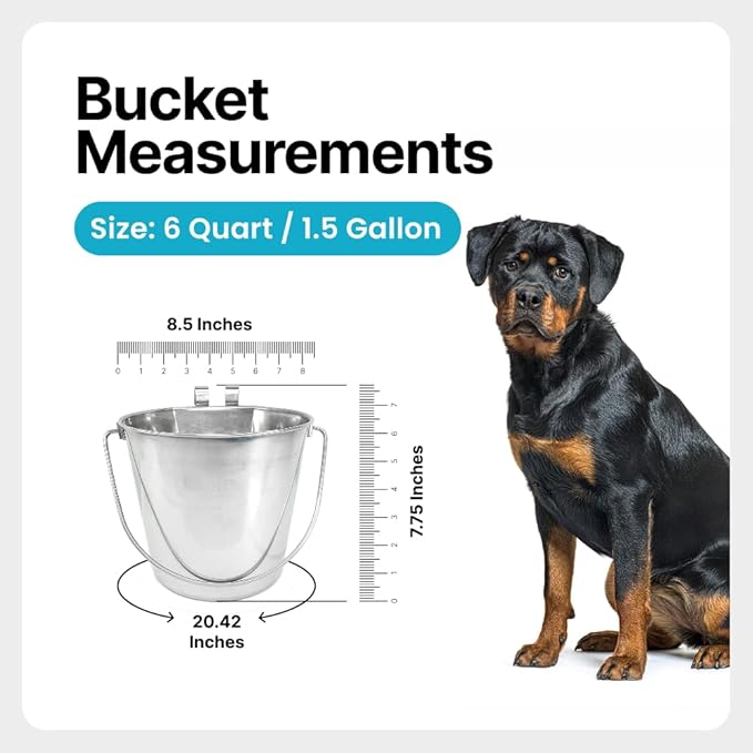 1.5 Gallon Stainless Steel Bucket - Heavy Duty Flat-Side Metal Bucket for Pets & Livestock Feeding - Rust Resistant Water Bucket with Hooks for Kennels, Cages, Crates & Fences - 6 Quart