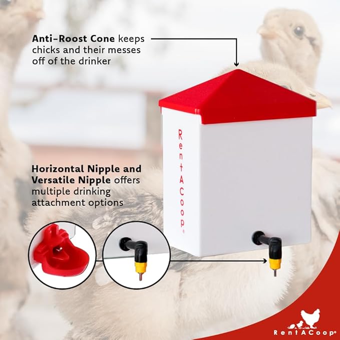 RentACoop 64oz(2L) Drinker Plus 2 Versatile Nipples - Suitable for Chicks, Quail, Pigeons, Doves, and Other Smaller Birds