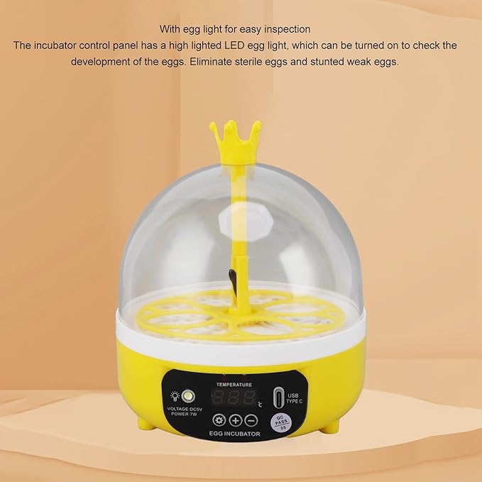 Mini Egg Incubator, Automatic Temperature and Humidity Control for 4 Eggs, Transparent Lid, Multifunctional Poultry Hatching Machine for Chickens, Ducks, and Doves (Auto Turning)