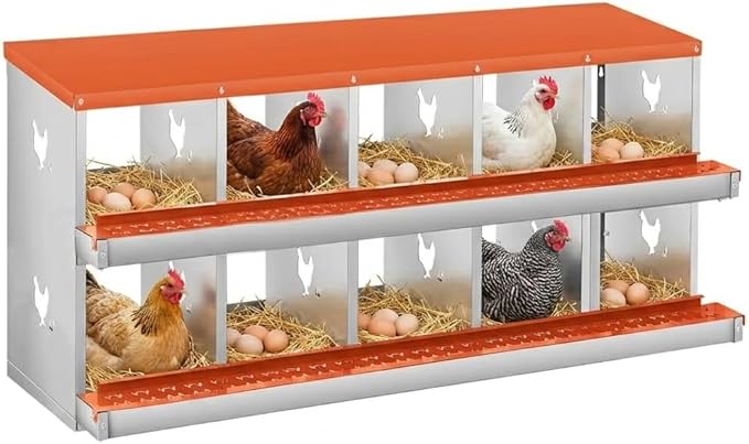 10 Compartment Nesting Boxes for Chickens, Chicken Nesting Box to Protect Eggs, Chicken Laying Boxes, Easy to Clean and Install