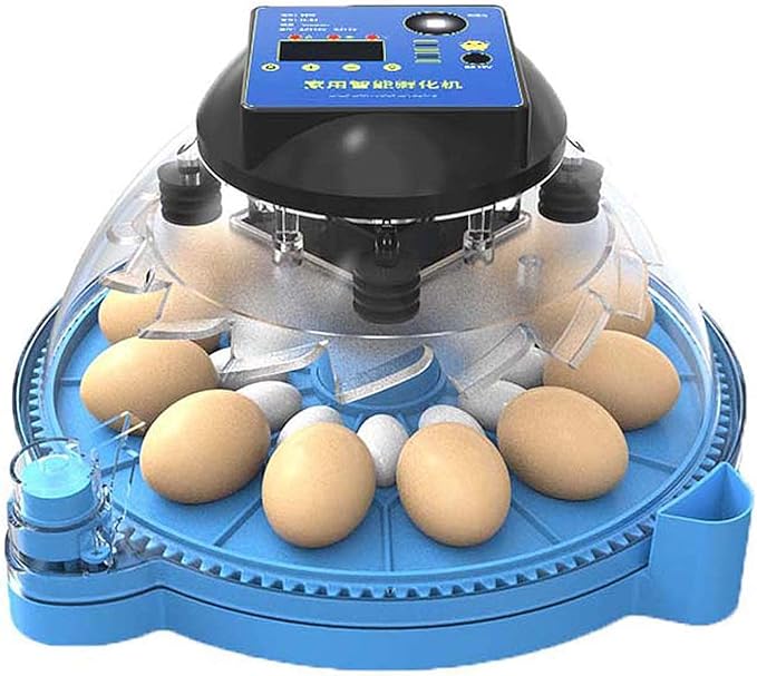 Egg Incubators, Round Poultry Hatcher, Automatic Temperature Control Digital Display Incubator, for Hatching Chick Duck Goose Pigeon Quail Bird Eggs (9 Pieces)