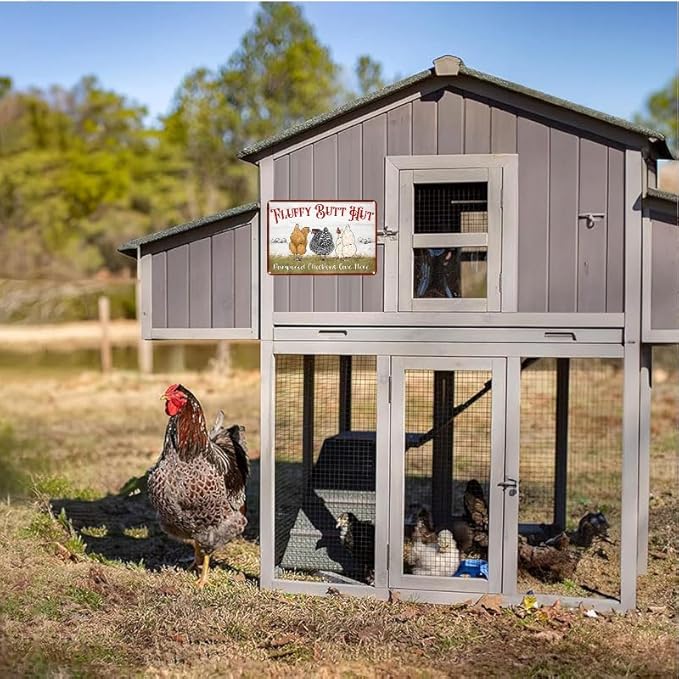 Fluffy Butt Hut Metal Tin Sign Funny Chicken Coop Sign For Home Decor Kitchen Decoration Wall Art Farm Farmhouse Vintage Decor Chicken Coop Accessories 12X16 Inch