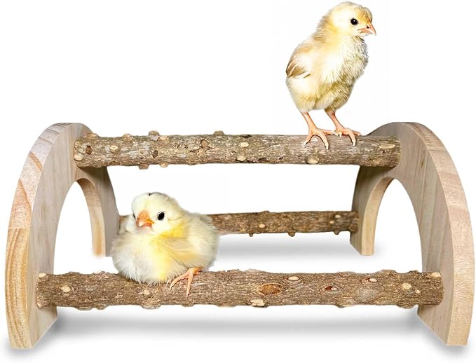 Chick Perch - Natural Wood Chick Roosting Bar for Brooder, Baby Chicken Supplies （1 Pack）