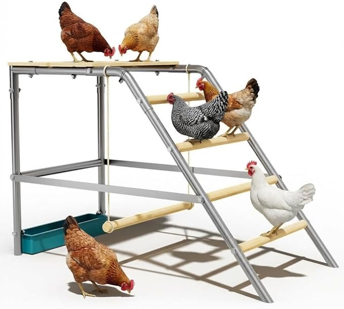 Chicken Roosting Bars, Chicken Perch with Swing, Backyard Poultry Farm, Chicken Coop Toys - Easy Installation & Cleaning, 37.4" L x 18.9" W x 28" H