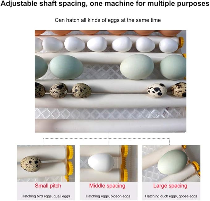 Mini Egg Incubator, Digital Full Automatic Poultry Hatcher Machine LED Display,Temperature Control & Automatic Egg Turner, for Hatching Chicken Duck Goose Quail Birds (16 Egg)