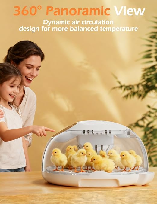 Incubators for Hatching Eggs, 12 Egg Incubator with Automatic Egg Turning and Temperature Humidity Control, Egg Candler incubadora de huevos de gallina for Home, Farm, Classroom, Chicken, Duck, Quail