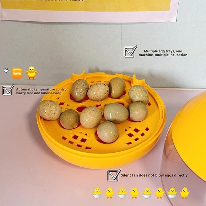 Egg Incubator, Rutin Chicken Egg Incubator for Hatching Eggs, Small Clear Egg Hatching Incubator, Automatic Smart Control Hatcher Machine for Variety Size of Eggs