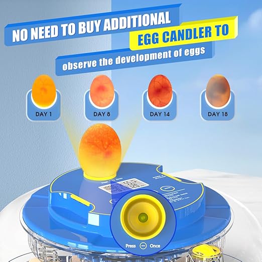 incubators for hatching eggs，18 Egg Incubator,egg incubator with automatic egg turning and humidity control，incubator for chicken eggs，chicken incubators for hatching eggs，quail egg incubator