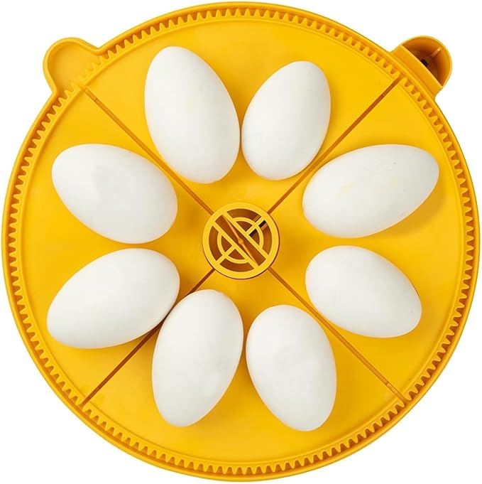 Brinsea Extra Large Egg Quadrant Insert for Maxi Advance Incubator System, Fits 8 Goose-Size Eggs