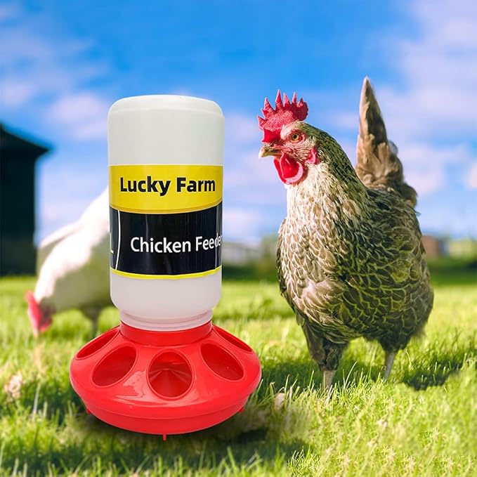 Chick Feeder and Waterer kit 1L Drinker & Feeder for Chickens Broilers,& Birds Quail Pigeon