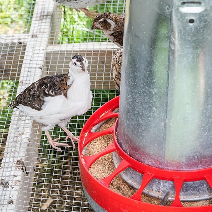 Premier 1 Galvanized Cone Feeder for Chickens & Poultry - 22 lb Capacity (Feeder Kit)