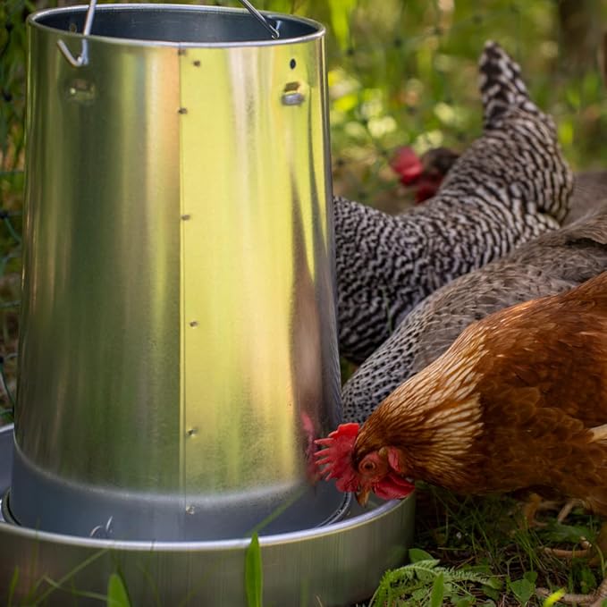 Stromberg's Metal Hanging Poultry Feeders, Galvanized Heavy Duty Steel, Holds 44 lbs Each, Rolled Edges for Safety, Secure Feed Flow Lock, Versatile Use Free Standing or Hanging | 5-Count