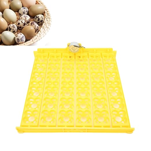 Egg Incubator Tray, Hollow Four Leaf Fancy Automatic Egg Turning Tray, Egg Turner for Survivors, Small Commercial Farmers, Chicken Duck Quail (12V)