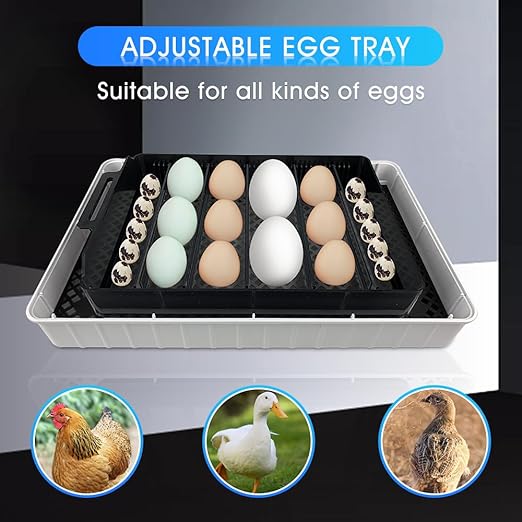 12 Egg Incubator - Automatic Egg Turner, Temperature Control, Built-in Candler, Auto Water Refill for Hatching Chicken, Duck, Quail & Bird Eggs