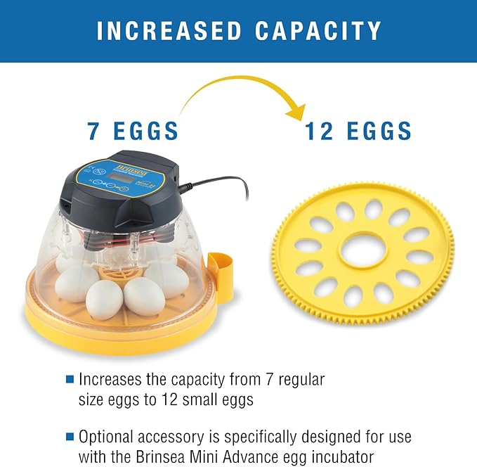 Brinsea Small Egg Insert Optional Accessory for Mini Advance Incubator System, Fits 12 Pheasant or Quail Size Eggs
