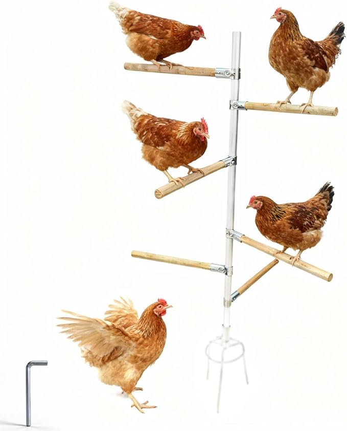 6pack Chicken Roosting Bars with Conectors, Adjustable & Replaceable Wood Bar (13" L)
