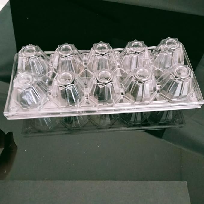Limera Disposable Plastic Egg Cartons, Clear, 100 Pieces, Tray Egg Container Holder for Refrigerator (10 Egg Tray), Transparent