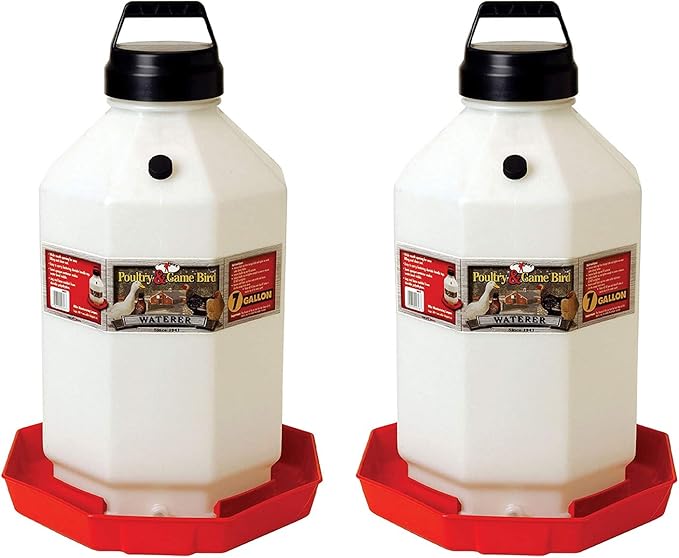 Little Giant PPF7 7 Gallon Capacity Automatic Chicken Poultry Waterer (2 Pack)