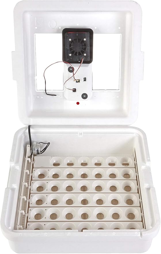 Little Giant® Digital Still Air Incubator | 41 Eggs | Egg Incubator with Temperature and Humidity Control | Chick Incubator