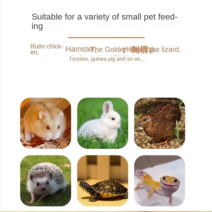Chicken Brooder - Chew-Resistant with Observation Window, Quail Brooder Box Kit for Small Space Backyard Urban Home Small Farm Apartment Garage Beginners Adults