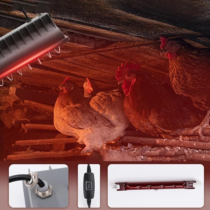 Winter Chicken Coop Heater,Waterproof Heating Lamp for Chicks Ducks Pets Dog House Cat Cage,Gently Warm Brooder Lamps with Safe Overheat Protection,Energy Efficient Adjustable (Size:7.87in,Color:175W)