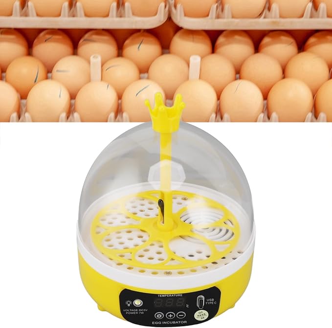 Mini Egg Incubator with Automatic Temperature and Humidity Control,4 Egg Poultry Hatching Machine for Chickens, Ducks, and Pigeons at Home (Manual Turning)