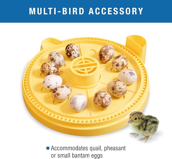 Brinsea Small Egg Insert Optional Accessory for Mini Advance Incubator System, Fits 12 Pheasant or Quail Size Eggs