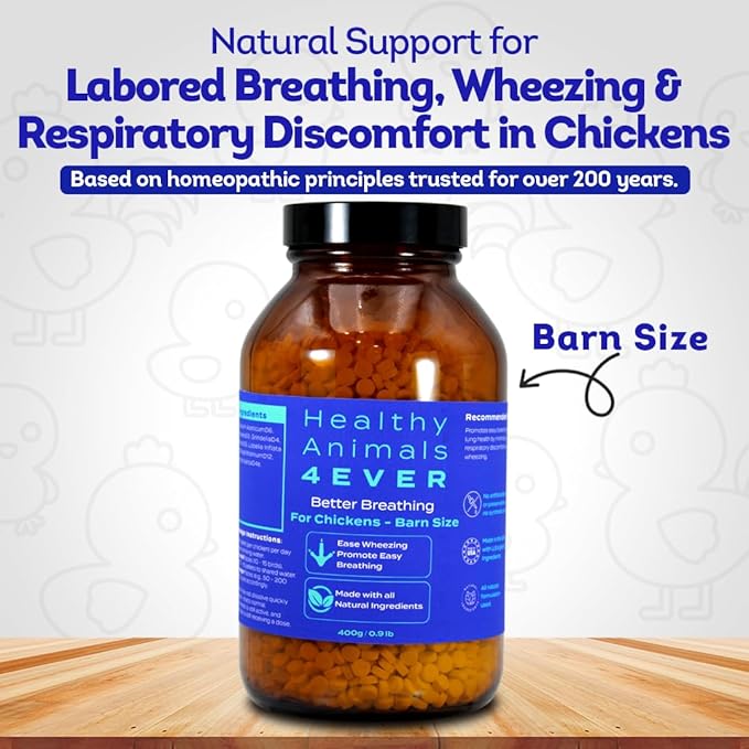 HA4E - Chicken Respiratory Support Supplement - Effective Breathing Aid for Chickens - Highly Effective Homeopathic Formula - Pellets, Barn Size (Extra Large)