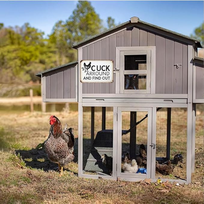 Funny Chicken Gifts Chicken Cluck Around and Find Out Tin Sign for Home Farm Chicken Coop Farmhouse Kitchen Garden Decor 8 X 12 Inch