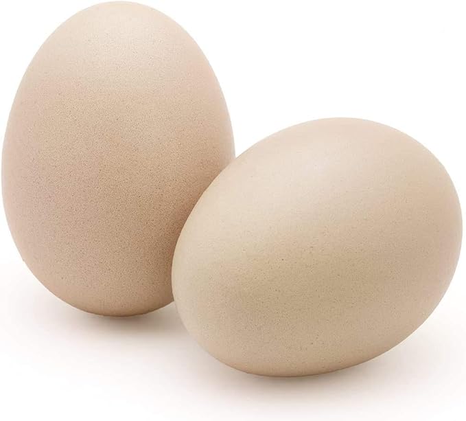 SunGrow Fake Wooden Eggs to Train Birds from Laying in The Nesting Boxes & to Stop from Eating Own Eggs, Brown Color, 2 Pack Suitable for Chicken and Duck