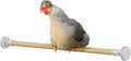 Omlet Chicken Perch | Eucalyptus Wood Roosting Bar for Poultry Runs | Weather-Resistant Outdoor Chicken Perch with Innovative Bracket Design | Fun and Durable Hen Accessory | 3ft